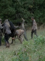 twd0513-1478.jpg