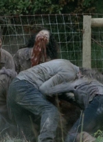 twd0513-1489.jpg