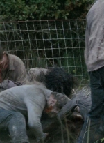 twd0513-1490.jpg