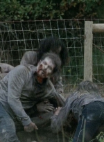 twd0513-1491.jpg