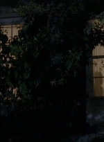 twd0513-1616.jpg