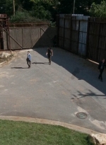 twd0513-2994.jpg