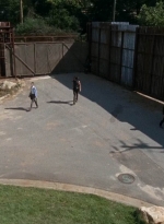 twd0513-2995.jpg