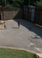 twd0513-2996.jpg