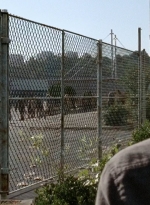 twd0514-0846.jpg