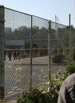 twd0514-0847.jpg