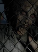 twd0514-1025.jpg