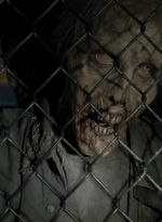 twd0514-1026.jpg