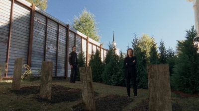 Click to view full size image
==============
twd0515-1218.jpg twd0515-1218.jpg