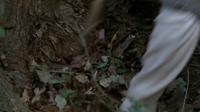 twd0515-1908.jpg