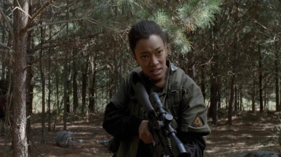 twd0515-1981.jpg