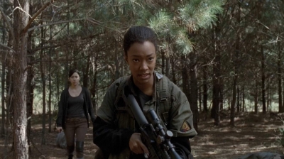 twd0515-1986.jpg