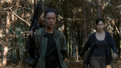 Click to view full size image
==============
twd0515-2005.jpg twd0515-2005.jpg