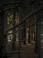 twd0515-1065.jpg