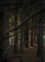 twd0515-1066.jpg