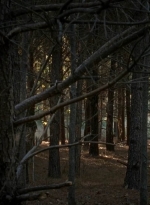 twd0515-1067.jpg