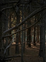 twd0515-1068.jpg