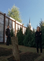 twd0515-1219.jpg
