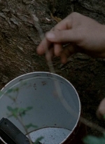 twd0515-1922.jpg