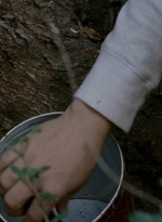 twd0515-1923.jpg
