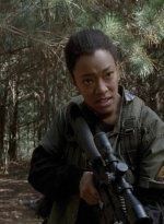 twd0515-1981.jpg