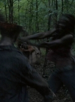 twd0515-2031.jpg