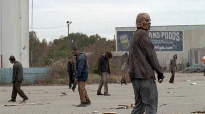 twd0516-1965.jpg