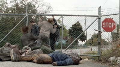 Click to view full size image
==============
twd0516-1971.jpg twd0516-1971.jpg