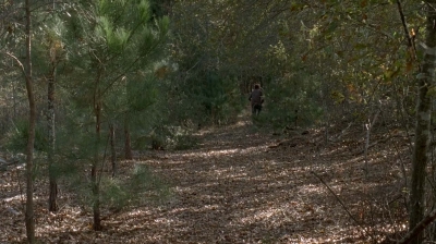 twd0516-2490.jpg