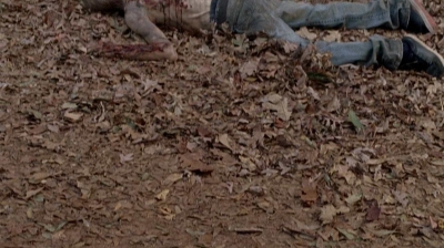 Click to view full size image
==============
twd0516-2524.jpg twd0516-2524.jpg