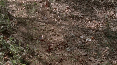 twd0516-2548.jpg