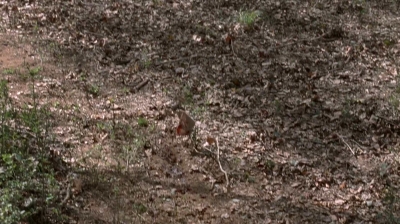 twd0516-2550.jpg