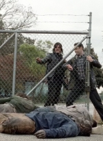 twd0516-1983.jpg