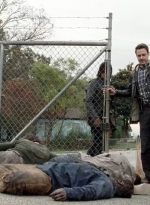 twd0516-1985.jpg