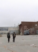 twd0516-2006.jpg