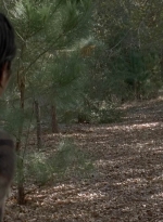 twd0516-2497.jpg