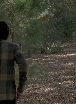 twd0516-2505.jpg