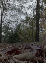 twd0516-2508.jpg