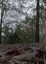 twd0516-2511.jpg