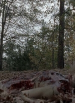 twd0516-2519.jpg
