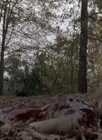 twd0516-2537.jpg