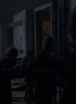 twd0516-4614.jpg