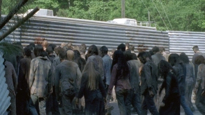 twd0601-2748.jpg