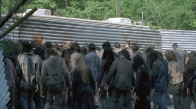 twd0601-2749.jpg