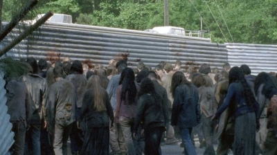 twd0601-2751.jpg