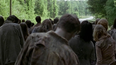 twd0601-4411.jpg