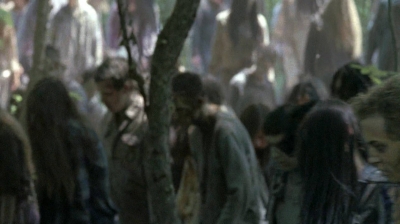 twd0601-4858.jpg