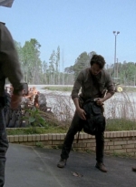 twd0601-2010.jpg