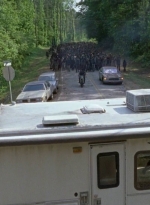 twd0601-2529.jpg