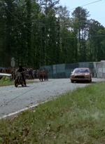 twd0601-2694.jpg